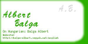 albert balga business card